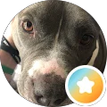 Danielle Virga Avatar